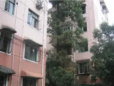 电梯全明两房 位置安静 中间楼层 诚意卖