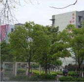 长宁低密2房电梯秒等不挤拎重物轻松到沪籍不限!