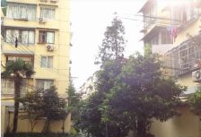 近地铁 电梯房 1梯4户 无抵押,新上房源