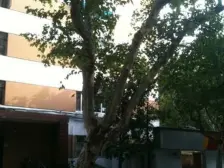 市委大院康平路板块 精装高区电梯一房