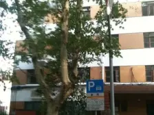 徐家汇·康平大楼·3室·1厅