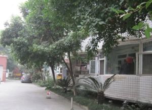 金桂花园(温江)3室2厅东南