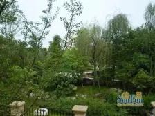 国色天乡庆典城 3室2厅 东南