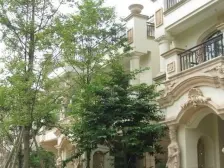 国色天乡庆典城 2室1厅 东