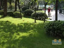 天德康都 2室1厅 北 南