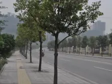 装修保养好 南北通透 2梯4户 朝中庭安静宜居 交通便利