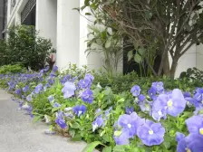 跃层安逸得很,双卫设计,娱乐生活分区