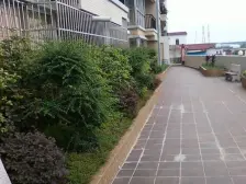 金融岛上小区,楼下就是市场,生活便利完善。