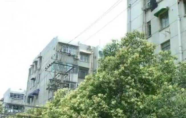 化建一村