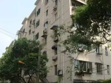 天平小区 1室1厅 西南