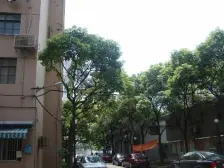 近1/9号线徐家汇站+徐家汇商圈+配套齐全+诚意出售!