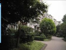 府河音乐花园 3室1厅 东