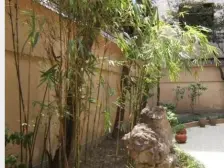 南京西路产权联排双南双开门全天太阳花园150平