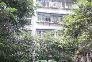 交通局宿舍 3室1厅 南 北