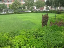 天星桥 杰邦荔枝园二房80万