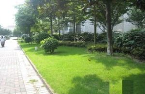 大树花园一期,满2年,楼层好,自住保养好,配套齐全