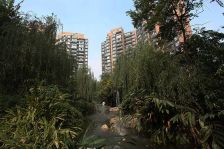 中大君悦金沙一二期 3室2厅 南