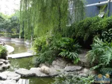 龙溪镇 石油家益大厦二房