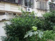 永太小区,新出底楼带院子两房,钥匙随时看,位育市二