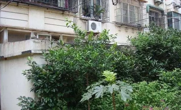 永太小区