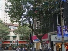 淮海中路·五金新村·1室·1厅