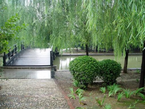 整租·康城逸树 1室1厅 南/北