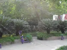 一号桥 钢铁设计院二房119万