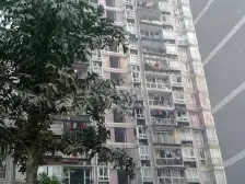 房子精装修,电梯房,出行便利,生活配套设施齐全