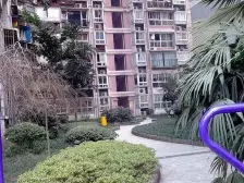 上清寺 东方花苑二房