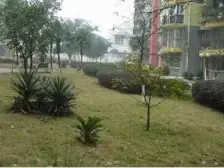 人和街+电梯房子+生活方便+10号线