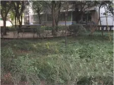 两路老城 名人山庄四房79.8万