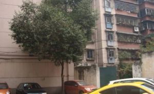 一环路南三段55号2室1厅南