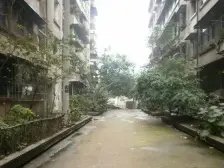 王家坝一村 3室2厅 南