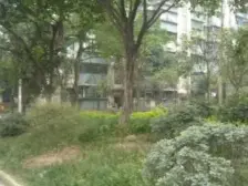 18号线李家沱大桥轻轨站 次新小区,三房端户,环境好