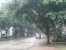 李家沱商圈纯洋房新小区两梯四户