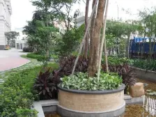 方圆月岛1室西朝向1000.00万元/套出售