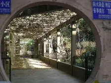 电梯房,主卧朝南,精装修,近商圈,交通便利,视野好