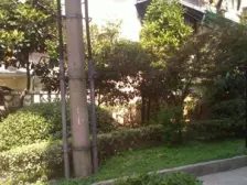 诚意出售,中间楼层,全明户型·