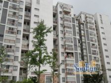 此房不靠高架,户型方正,楼层高采光,无遮挡