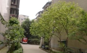 祥苑(武侯)5室2厅南北
