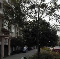 长桂源 2室1厅 南 北