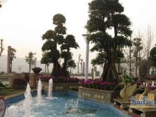 中间楼层,视野采光佳,业主年轻人好沟通,诚心出售