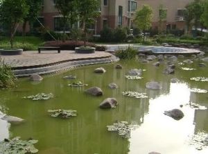 小区中间,出租中,看房提前联系