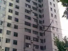 朝看!看公园!随时可以看!精装修