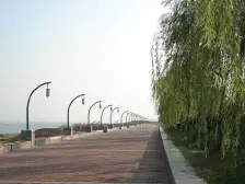 老城区 泰吉滨江一房46万