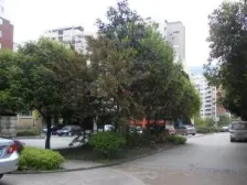 新城花园 3室2厅 东南