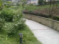 杏林花园 3室2厅 南 北