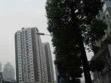步行街上,精装房,家电齐全,拎包入住