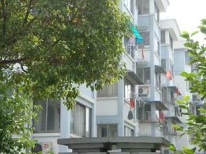 大树江小区3室1厅南