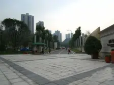 金科公园王府 1室1厅 东